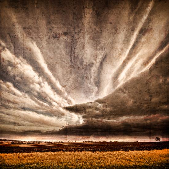 Photographic Print, , large