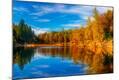 Photographic Print