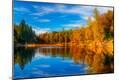 Photographic Print