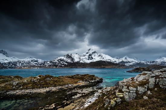 Photographic Print, , large