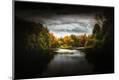 Photographic Print