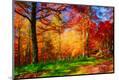 Premium Photographic Print