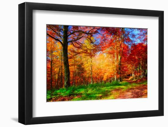 Photographic Print, , large