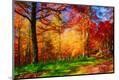 Photographic Print