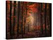 Stretched Canvas Print