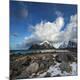 Photographic Print