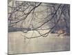 Photographic Print