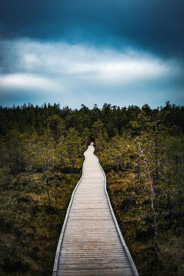 Photographic Print, , large