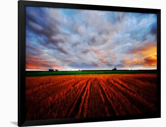 Photographic Print, , large