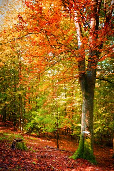 Premium Photographic Print, , large