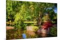 Photographic Print
