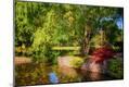 Photographic Print