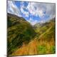 Photographic Print