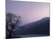 Premium Photographic Print