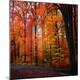 Photographic Print