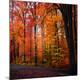 Photographic Print