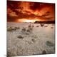 Premium Photographic Print