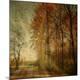 Premium Photographic Print