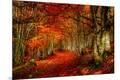 Photographic Print