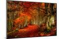 Premium Photographic Print