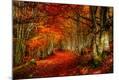 Photographic Print