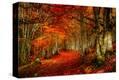 Stretched Canvas Print