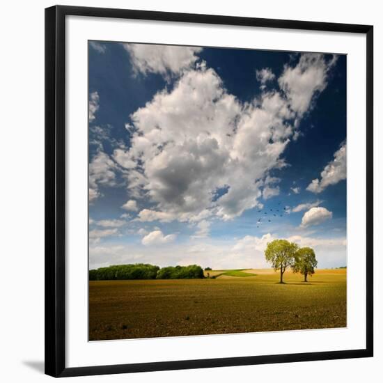Photographic Print, , large