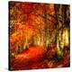 Stretched Canvas Print