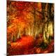 Premium Photographic Print