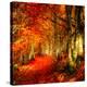 Stretched Canvas Print