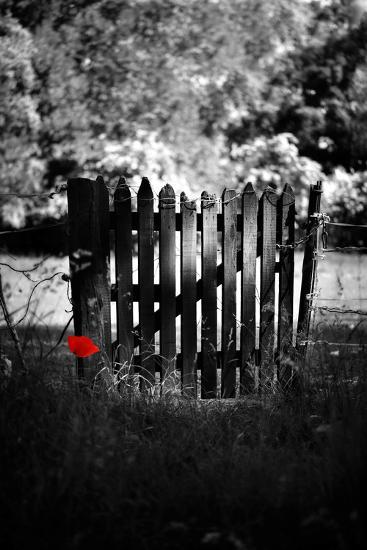 Photographic Print, , large