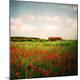 Premium Photographic Print