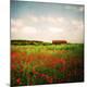 Premium Photographic Print