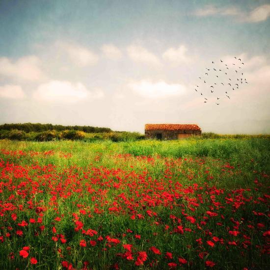 Photographic Print, , large
