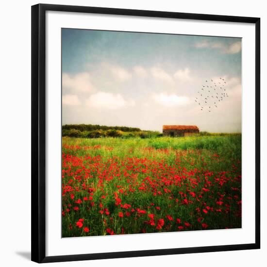 Photographic Print, , large