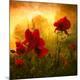Premium Photographic Print
