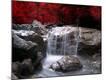 Premium Photographic Print