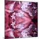 Premium Photographic Print