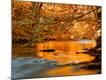 Premium Photographic Print