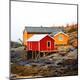 Premium Photographic Print