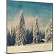 Premium Photographic Print