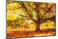 Photographic Print