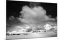 Photographic Print