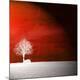 Premium Photographic Print