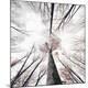 Premium Photographic Print