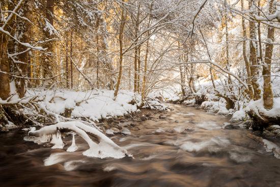 Premium Photographic Print, , large