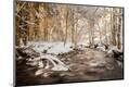 Premium Photographic Print