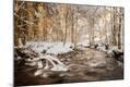 Photographic Print