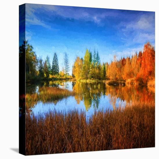 Stretched Canvas Print, , large