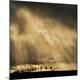 Premium Photographic Print